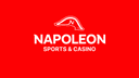 Napoleon Casino logo