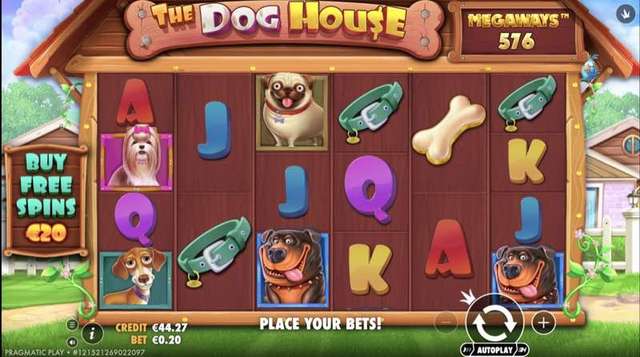 The Dog House Megaways gameplay screenshot