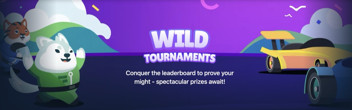 Wild.io tournaments page showing Slot Mania, Table Wars, and VIP Tournament leaderboards